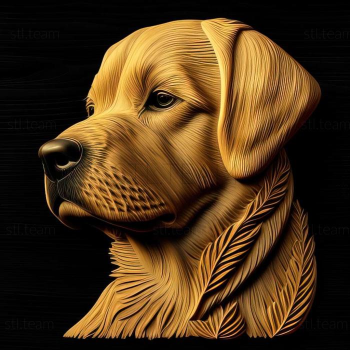 3D model Coolies dog breed dog (STL)